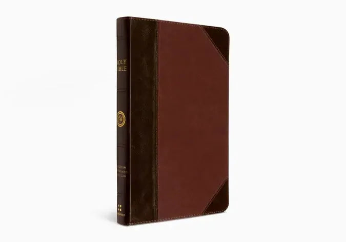 Brown leather Holy Bible, thinline edition, shown from front and side on white background.