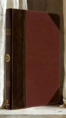 Brown ESV Thinline Bible with leather cover standing upright against light fabric backdrop