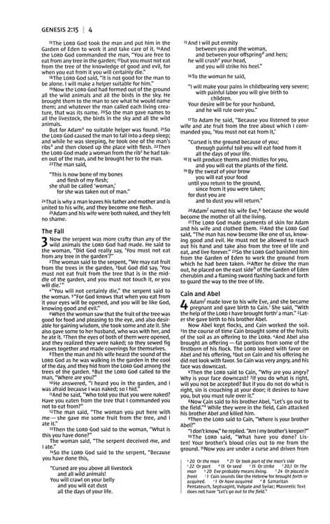 Close-up of Genesis scripture page from a pink and chocolate gift Bible, showing clear text.