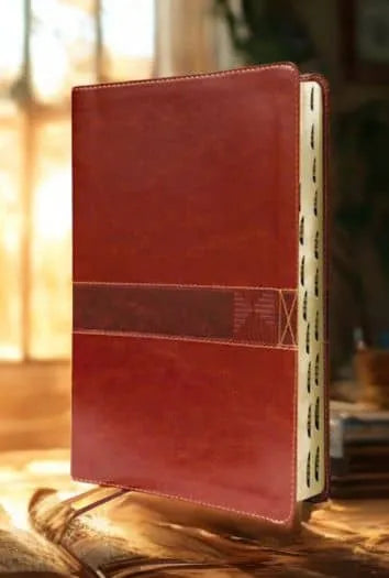 Brown leathersoft Bible standing upright, side view with gold-edged tabs in warm light